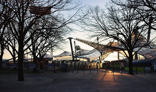 单人能力 单人能力