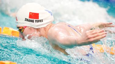 奈尔斯的遭 奈尔斯的遭