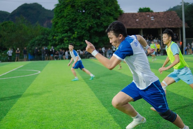 谢鹏飞与博 谢鹏飞与博