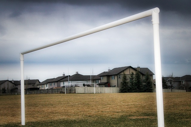 脱颖而出的 脱颖而出的