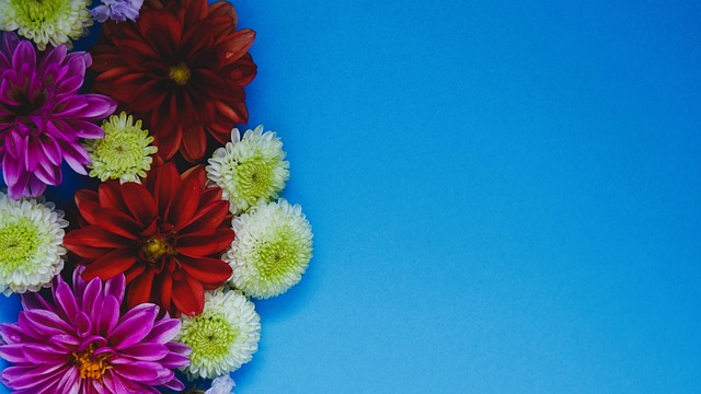 个篮板则证 个篮板则证