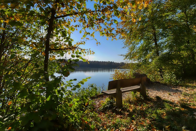 典型代表 典型代表