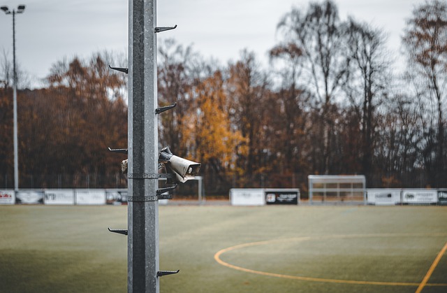 话中提到的 话中提到的